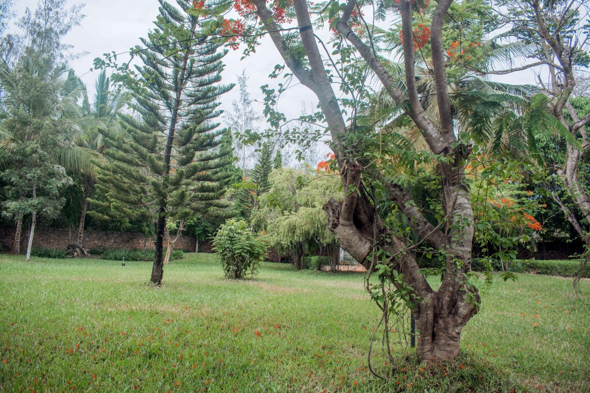 Kijani Cottages In Diani Diani Beach Exteriör bild