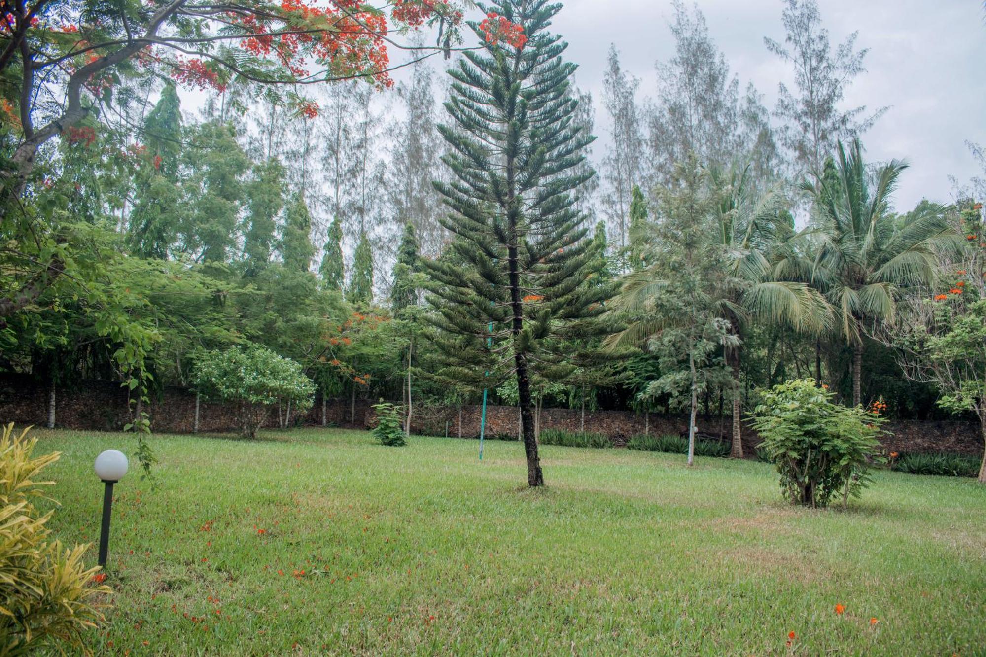 Kijani Cottages In Diani Diani Beach Exteriör bild